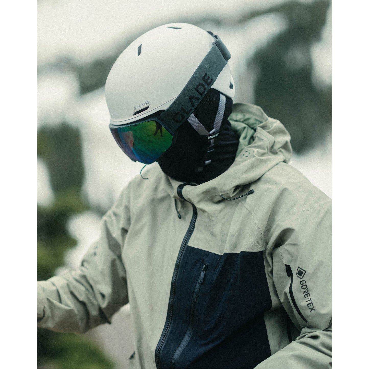 Tenmile MIPS