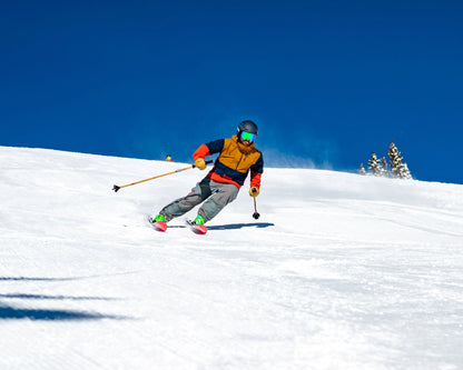 Polarized Challenger Goggle